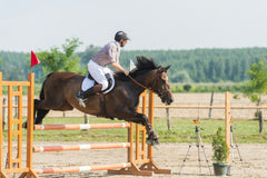 In Honor of All the Queen's Horses: Top US Equestrian Colleges