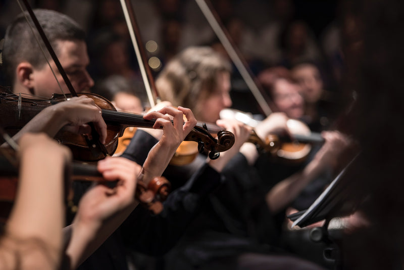 Looking to Pursue a Classical Music Degree? Here Are 5 Top Schools to Explore